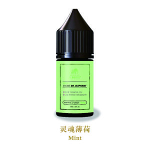 REDEL Nicotine Salts E-liquid mint