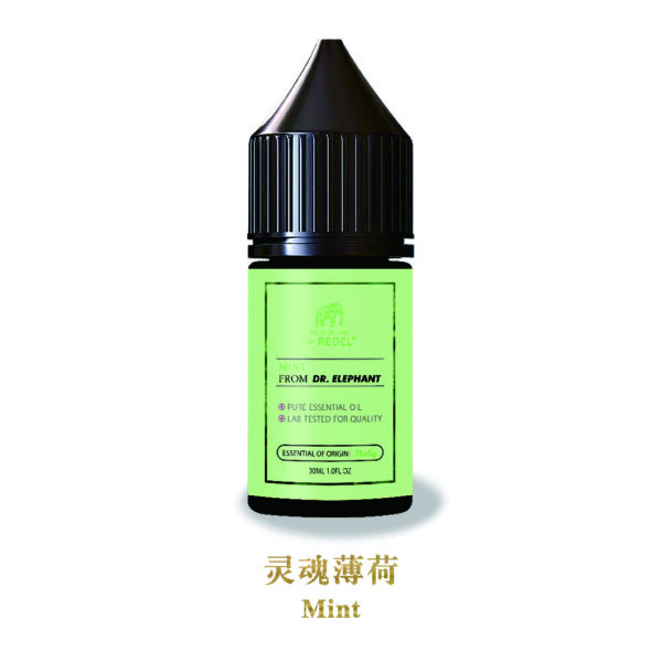 REDEL Nicotine Salts E-liquid mint